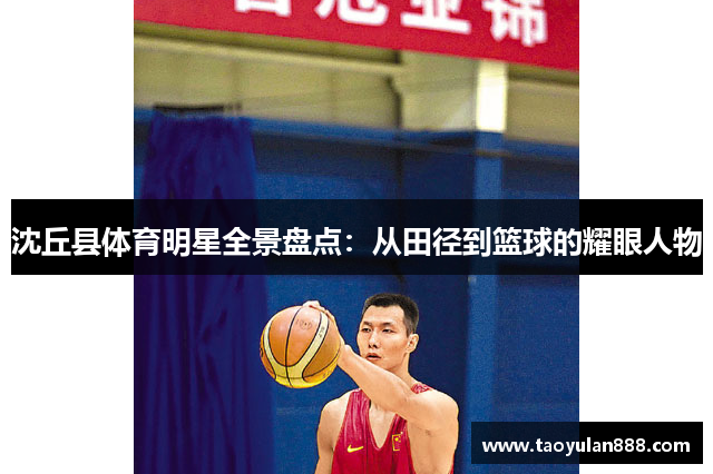 沈丘县体育明星全景盘点：从田径到篮球的耀眼人物