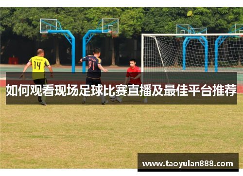 如何观看现场足球比赛直播及最佳平台推荐