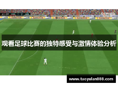 观看足球比赛的独特感受与激情体验分析